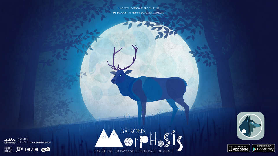 morphosis