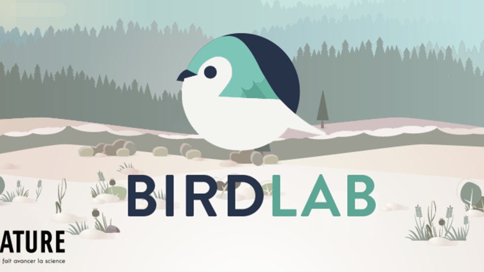 birdlab