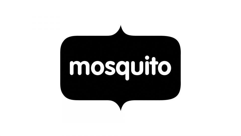 mosquito