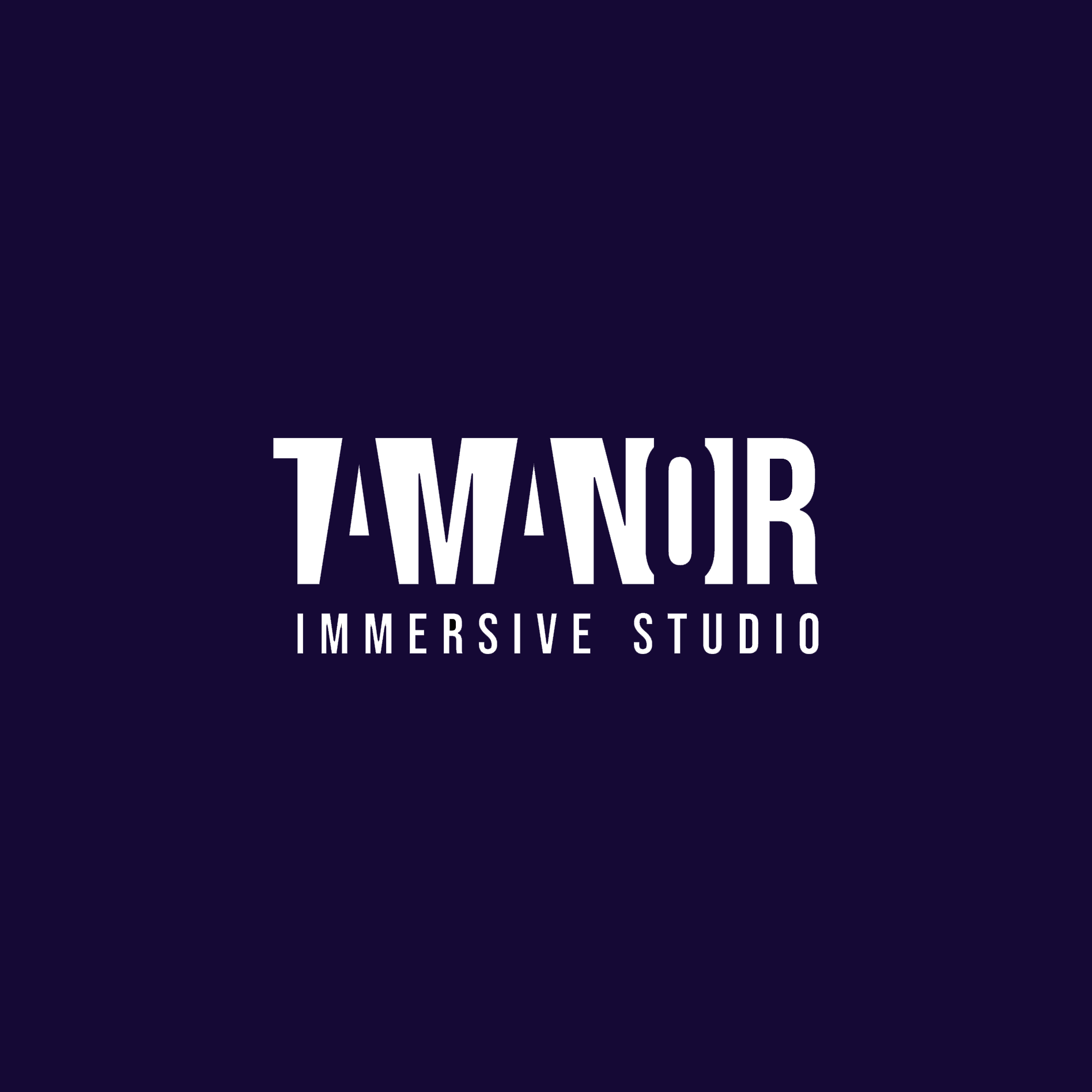 tamanoir-immersive-studio