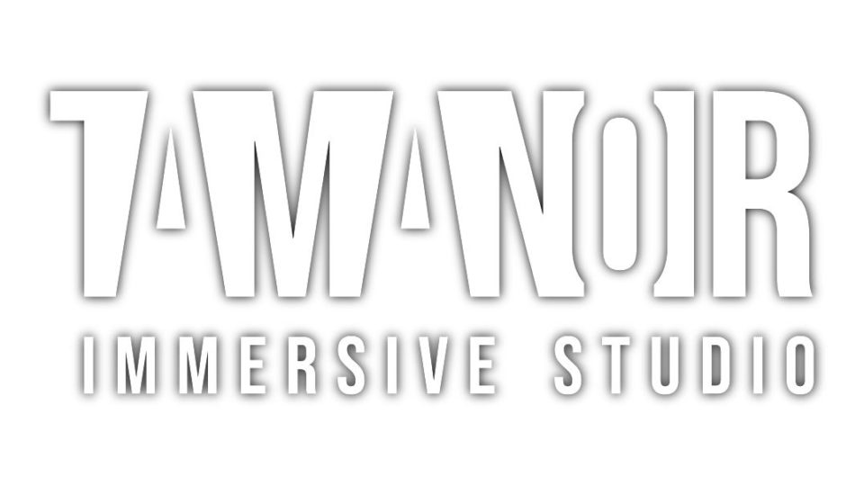 tamanoir-immersive-studio