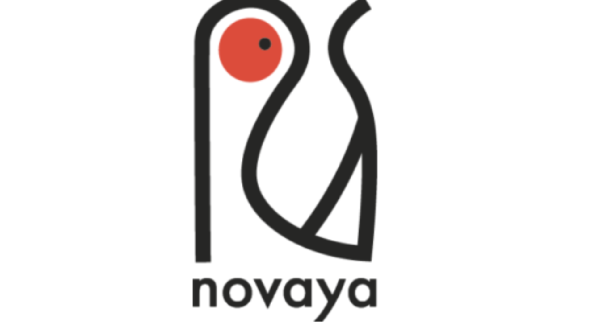 novaya