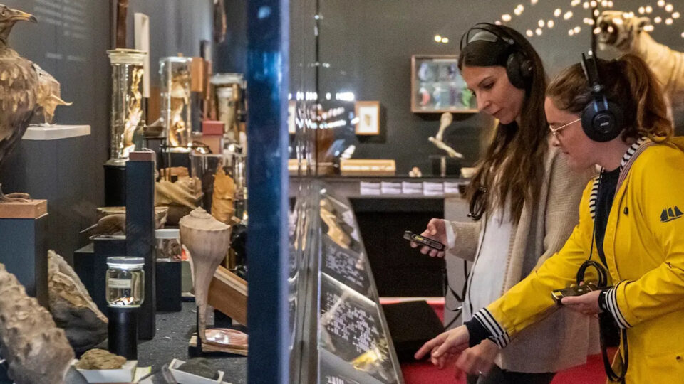 miss-djeck-racontre-tresors-parcours-sonore-immersif-de-lexposition-tresors-200-ans-dhistoire-naturelle-a-geneve-du-museum-dhi